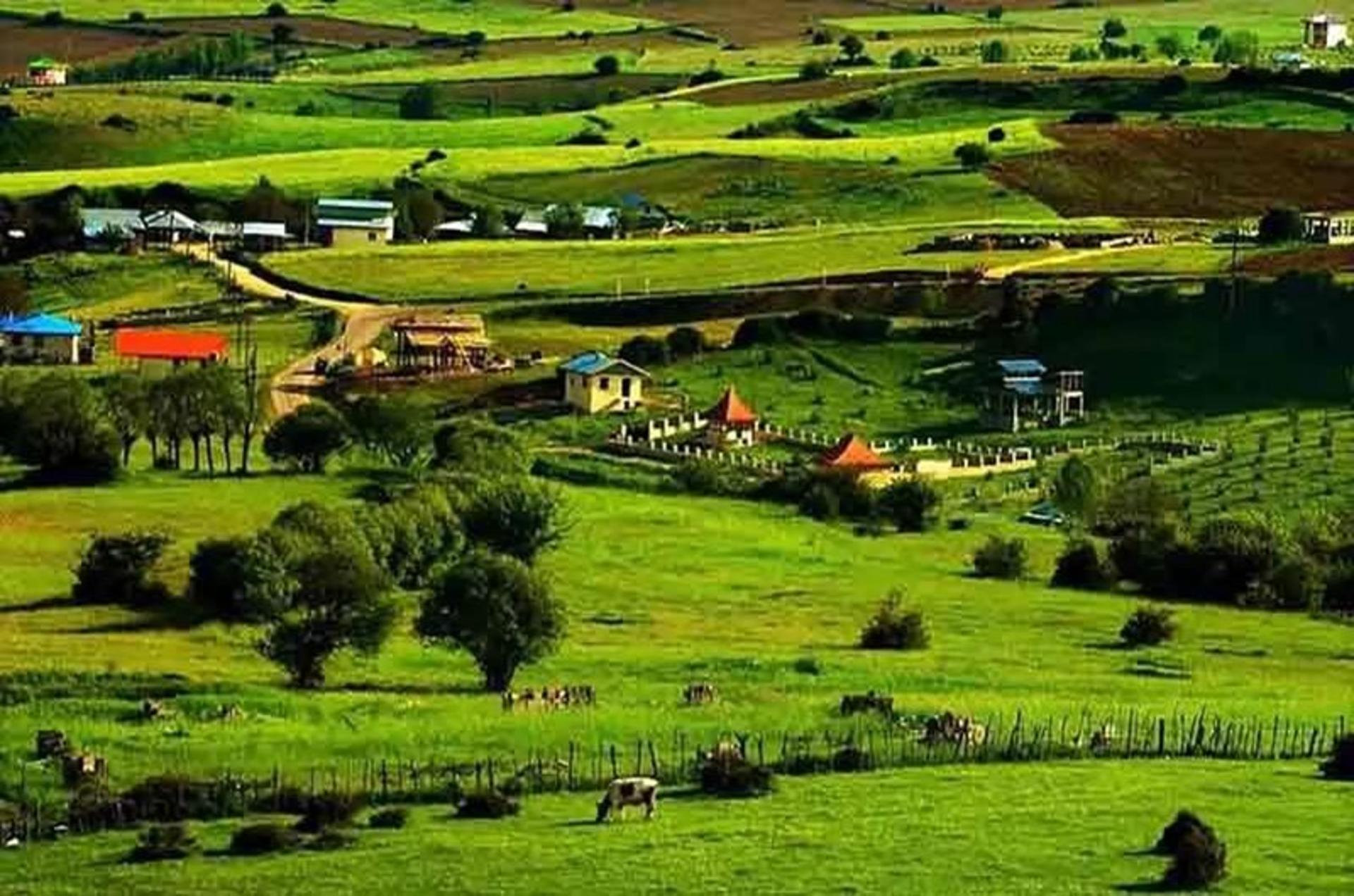 طبیعت ییلاق دیلمان گیلان